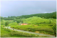 Bilder-Gallerie * Landschaft bei Anshun * China - Guizhou