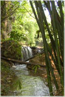 Bilder-Gallerie * Landschaft bei Tian Xin * China - Guizhou